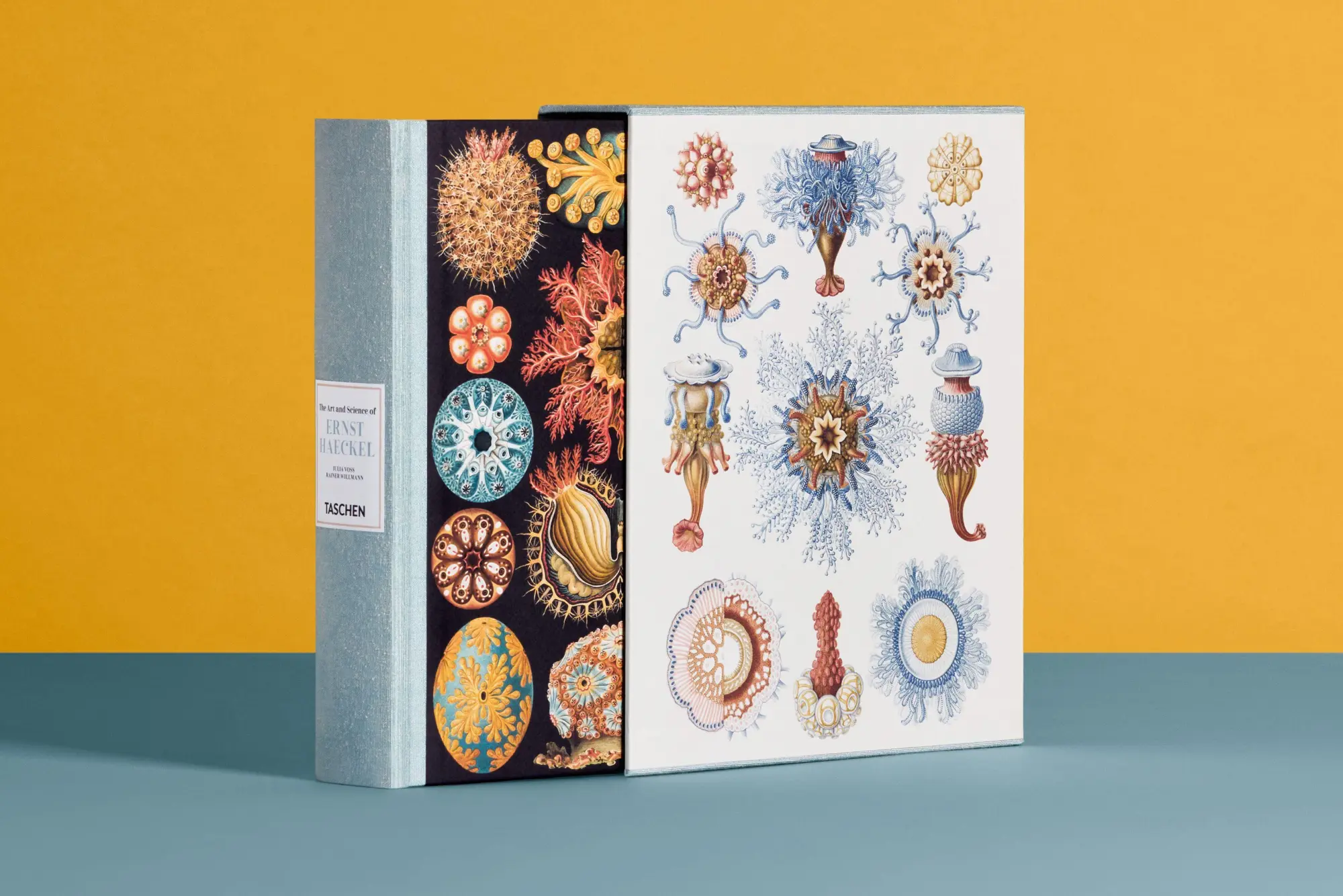 Bild: 9783754406106 | The Art and Science of Ernst Haeckel | Julia Voss (u. a.) | Buch