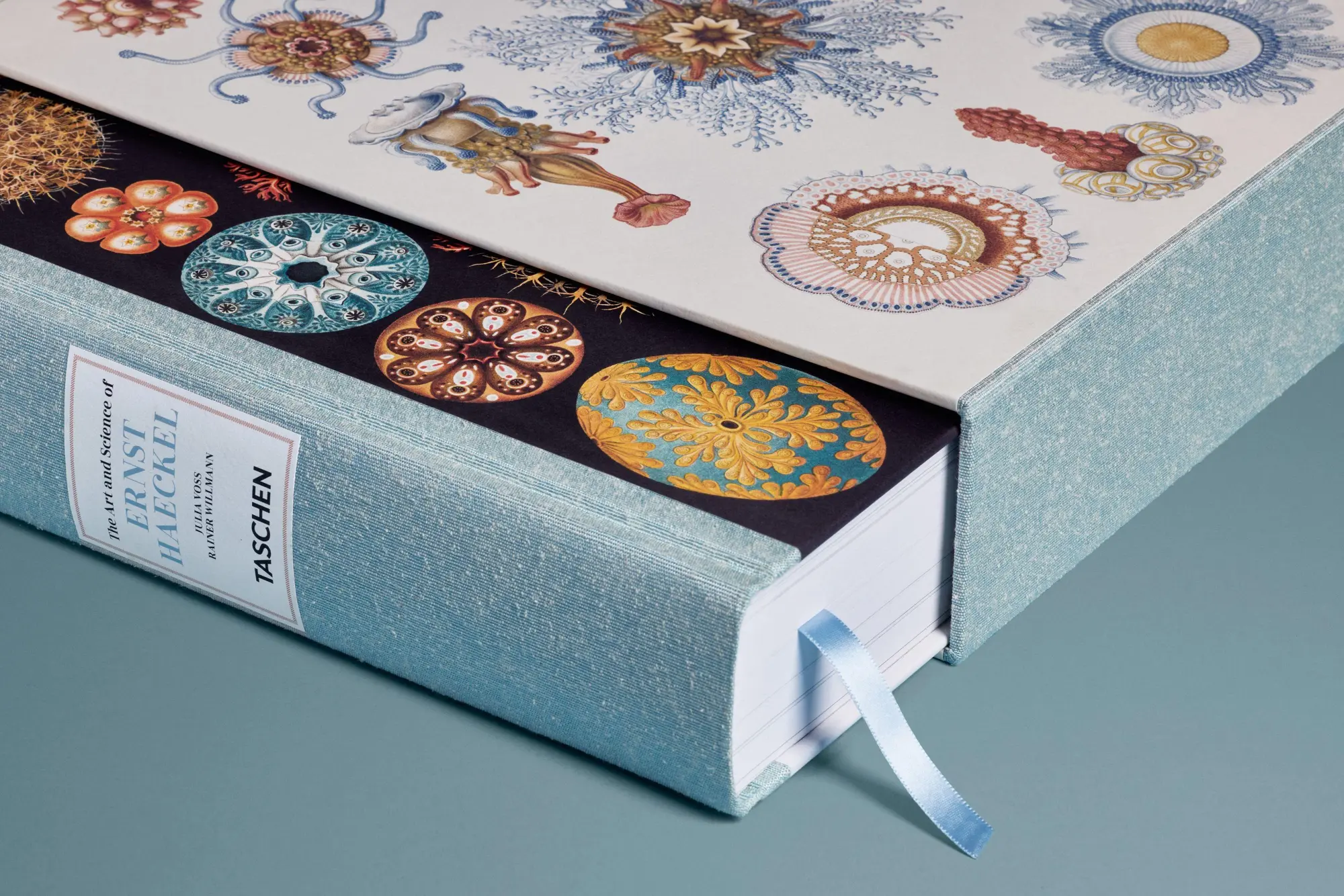 Bild: 9783754406106 | The Art and Science of Ernst Haeckel | Julia Voss (u. a.) | Buch
