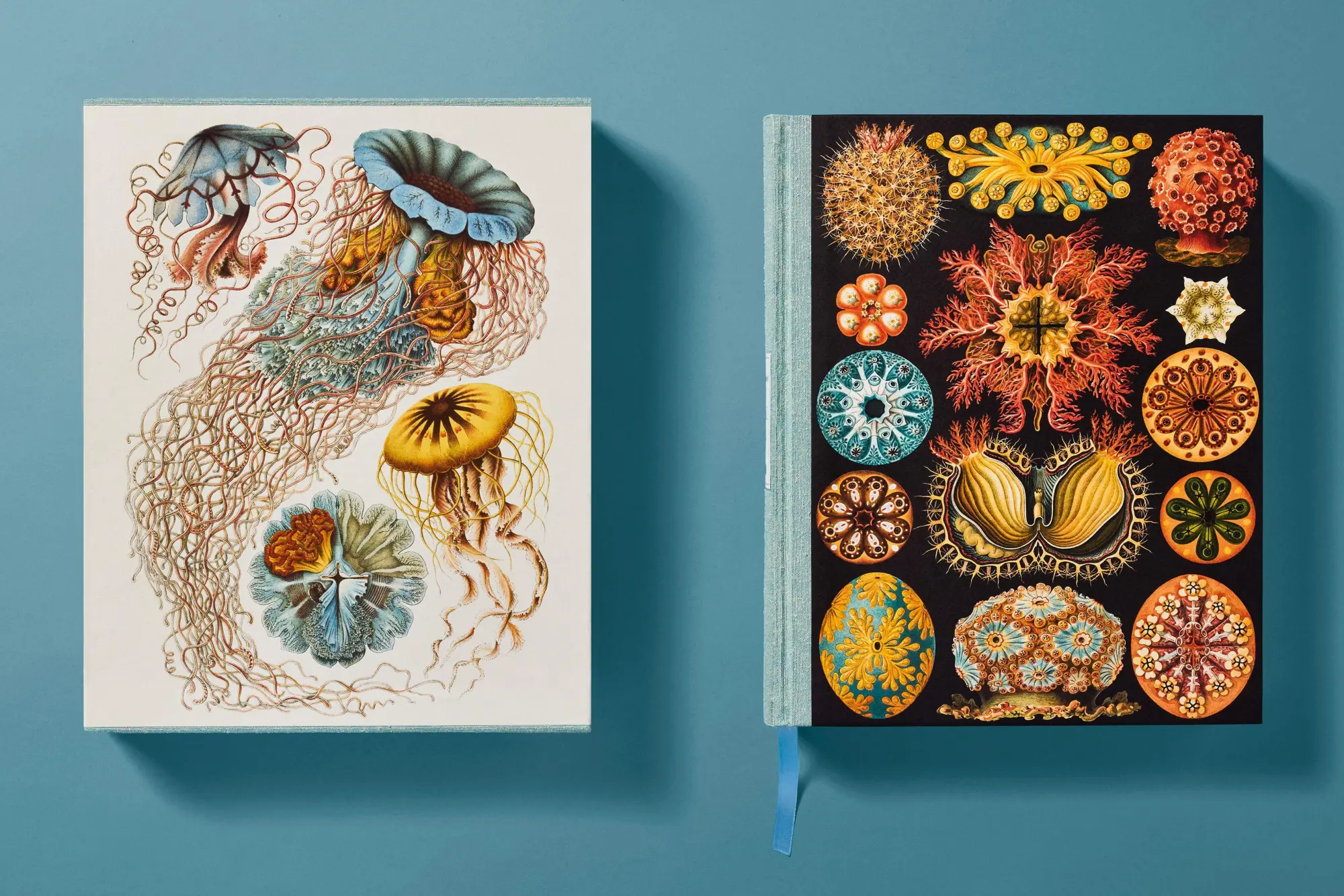 Bild: 9783754406106 | The Art and Science of Ernst Haeckel | Julia Voss (u. a.) | Buch