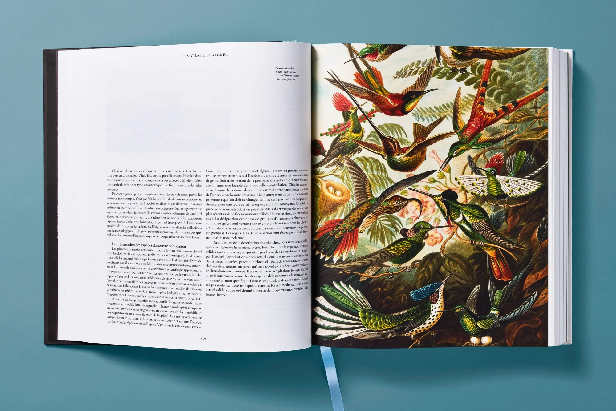 Bild: 9783754406106 | The Art and Science of Ernst Haeckel | Julia Voss (u. a.) | Buch