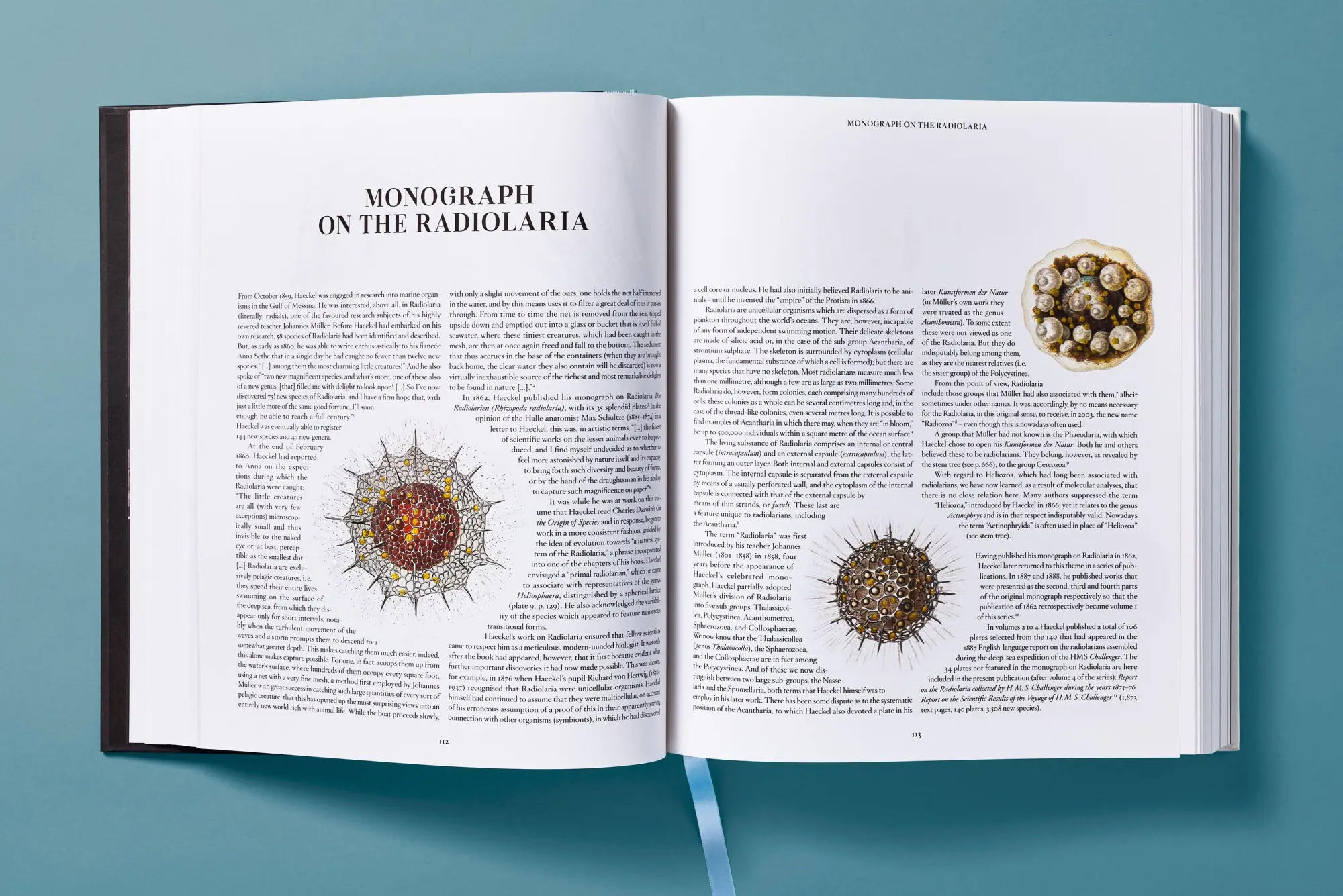 Bild: 9783754406106 | The Art and Science of Ernst Haeckel | Julia Voss (u. a.) | Buch