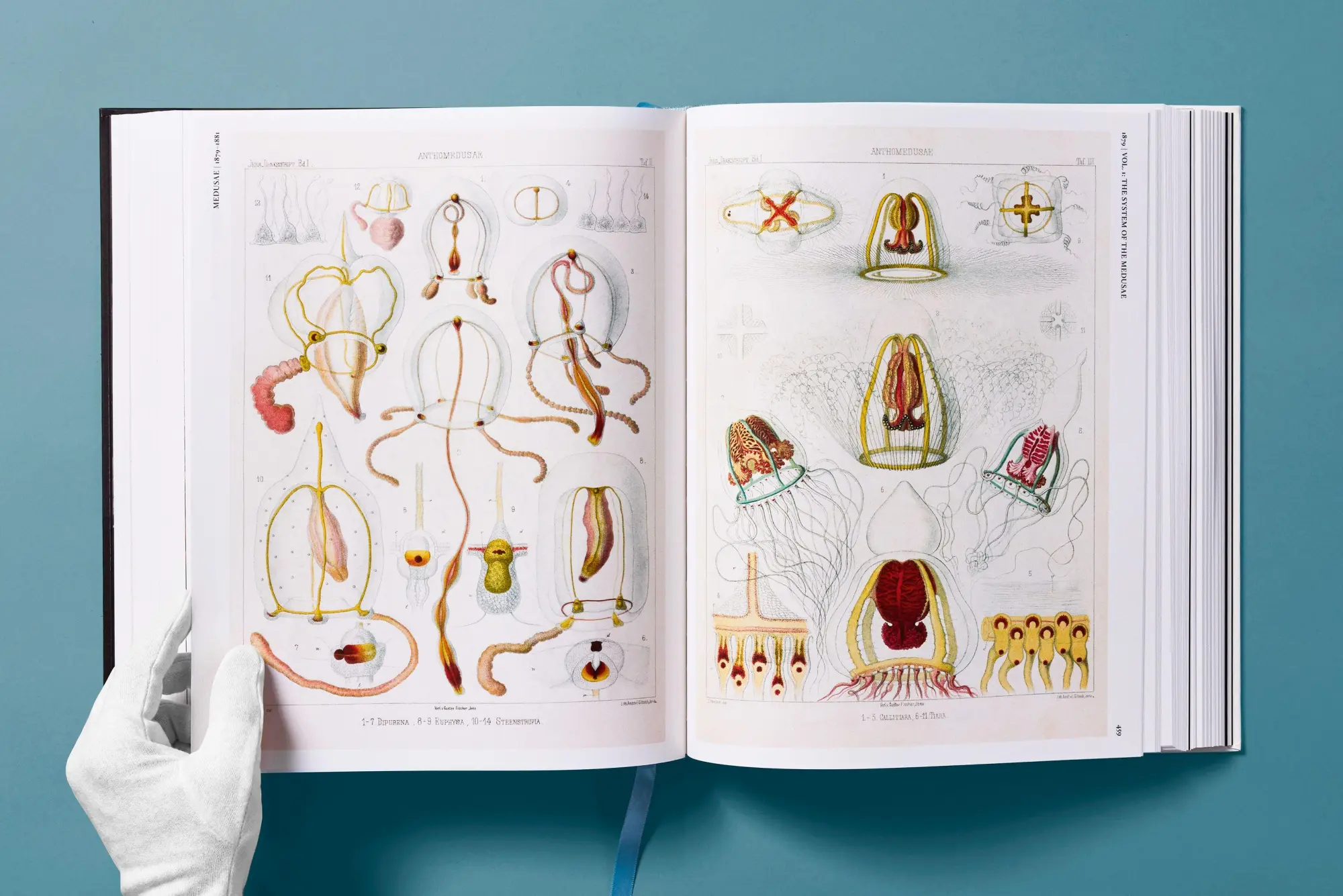 Bild: 9783754406106 | The Art and Science of Ernst Haeckel | Julia Voss (u. a.) | Buch