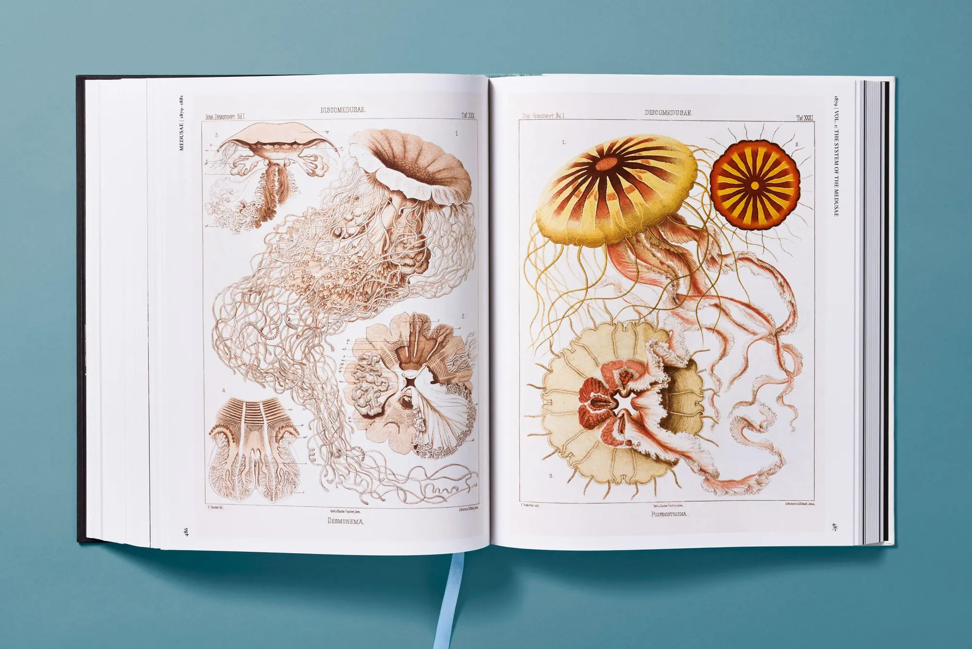 Bild: 9783754406106 | The Art and Science of Ernst Haeckel | Julia Voss (u. a.) | Buch