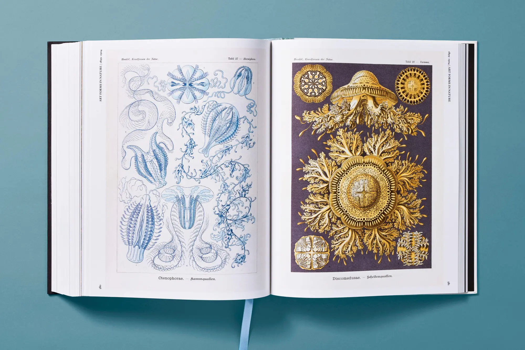Bild: 9783754406106 | The Art and Science of Ernst Haeckel | Julia Voss (u. a.) | Buch