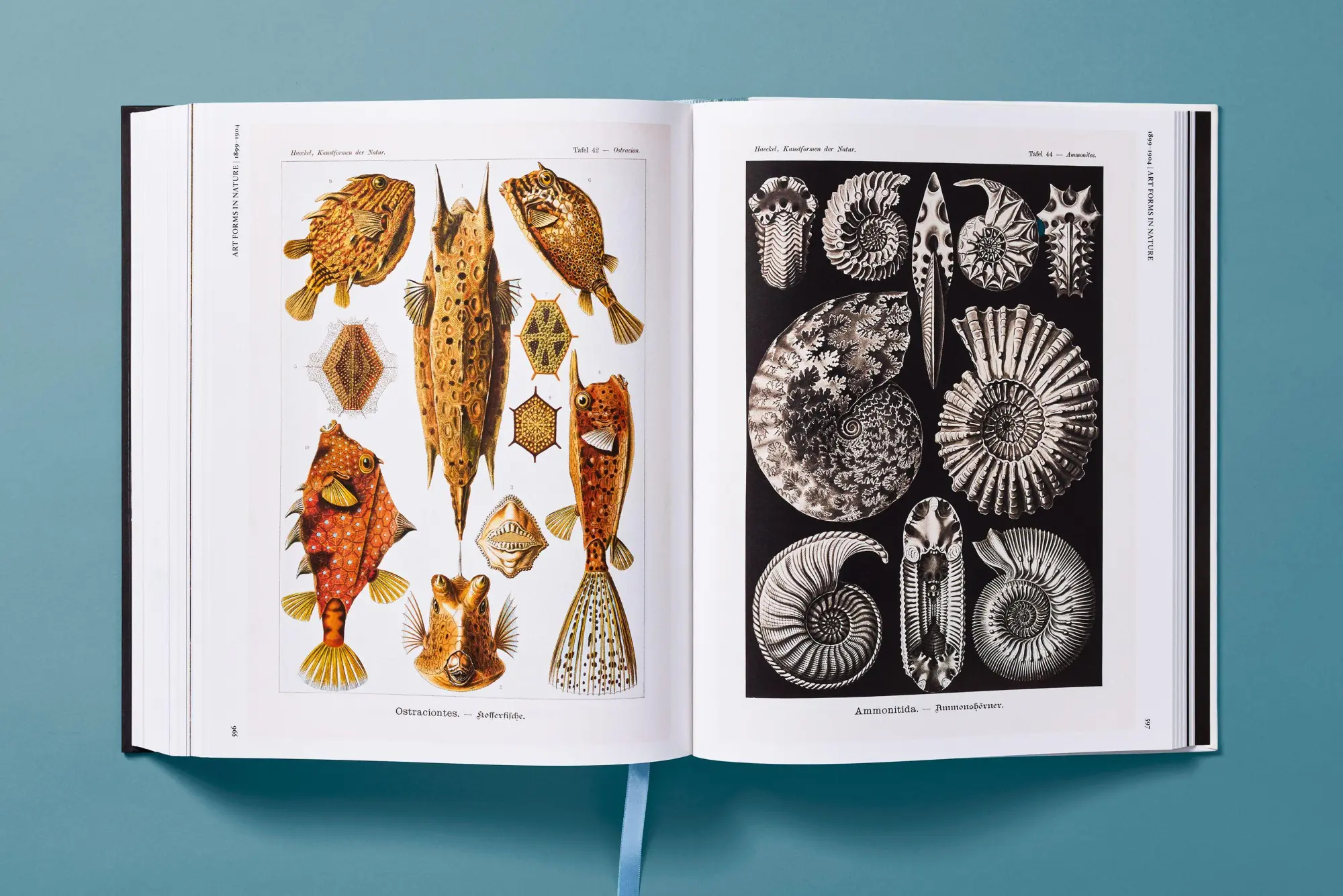 Bild: 9783754406106 | The Art and Science of Ernst Haeckel | Julia Voss (u. a.) | Buch