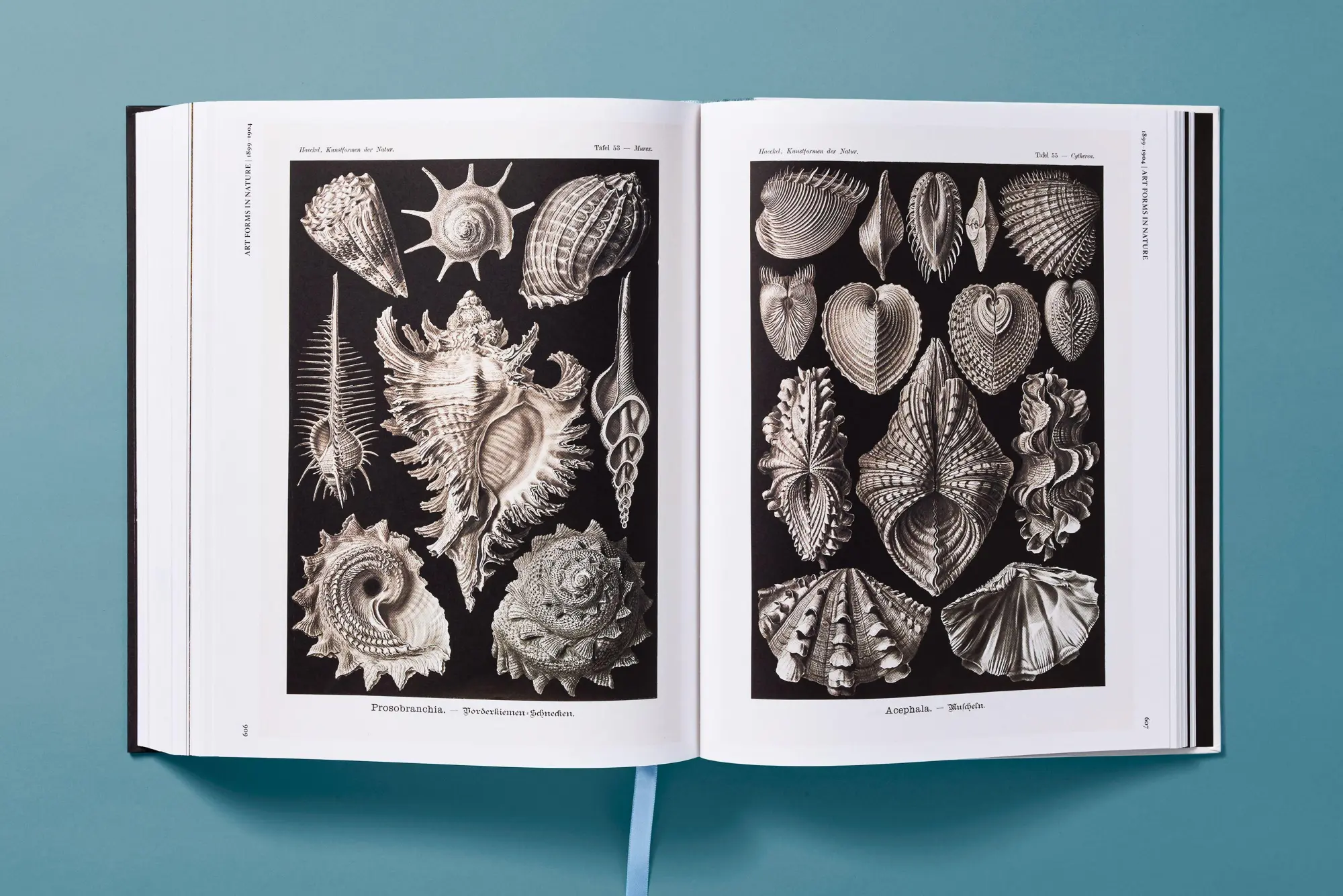 Bild: 9783754406106 | The Art and Science of Ernst Haeckel | Julia Voss (u. a.) | Buch
