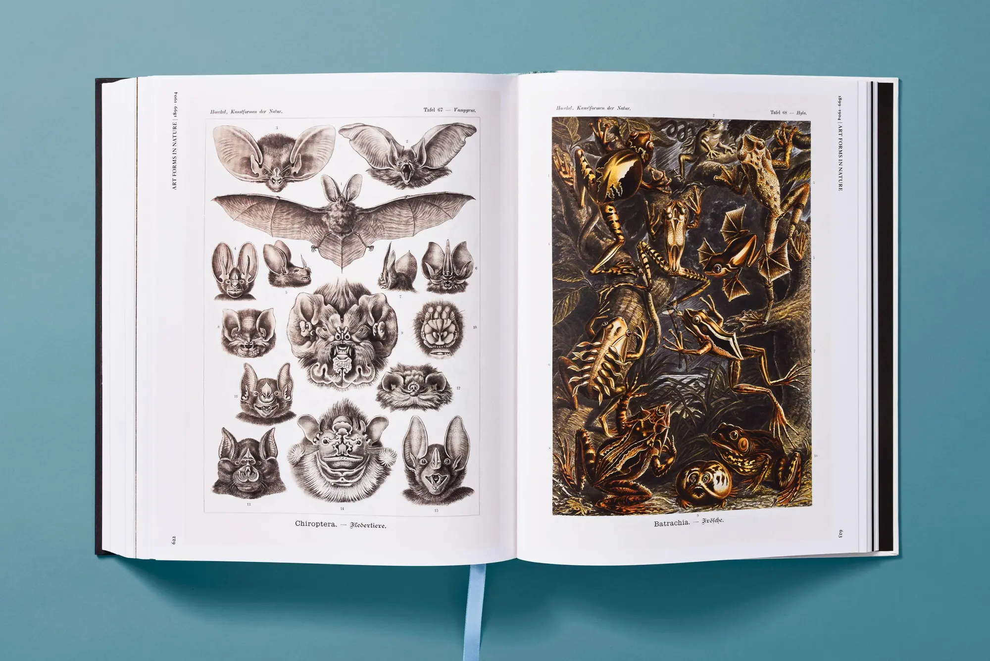 Bild: 9783754406106 | The Art and Science of Ernst Haeckel | Julia Voss (u. a.) | Buch