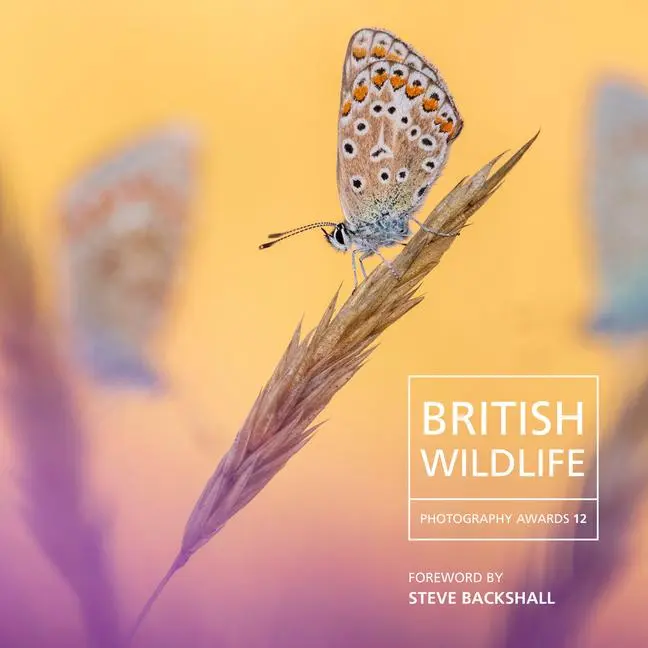 Cover: 9781802586206 | British Wildlife Photography Awards 12 | Will Nicholls | Buch | 2024