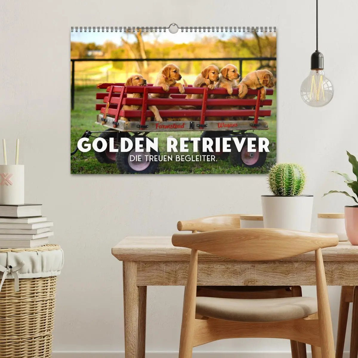Bild: 9783457566206 | Golden Retriever - Die treuen Begleiter. (Wandkalender 2026 DIN A3...
