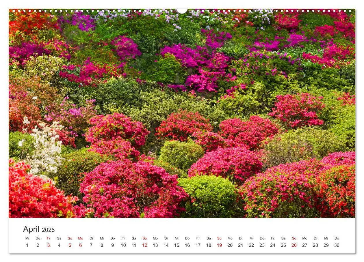 Bild: 9783457636206 | Gärten in Japan (Wandkalender 2026 DIN A2 quer), CALVENDO...