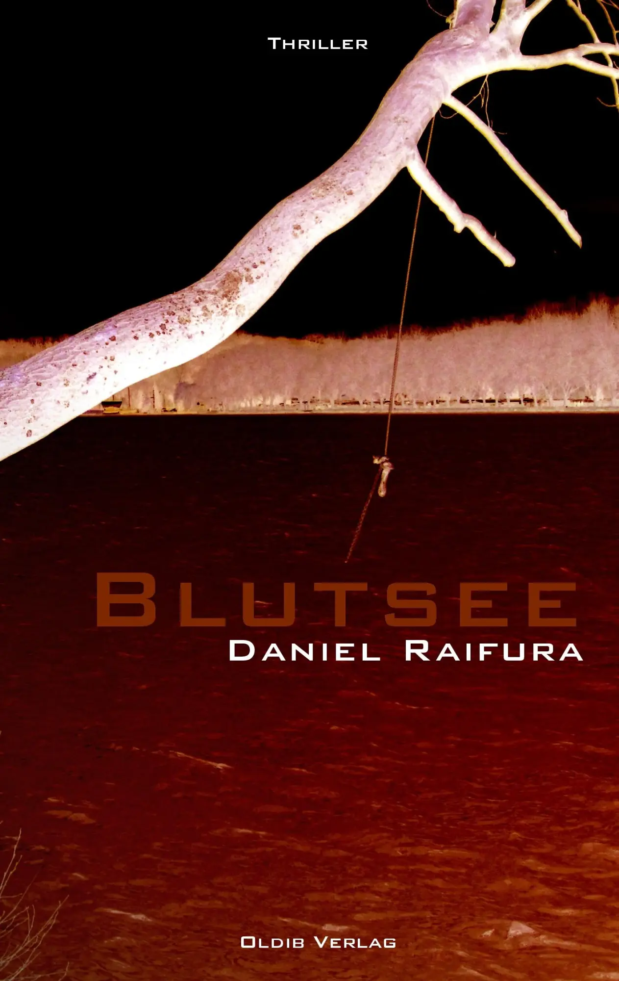 Cover: 9783939556206 | Blutsee | Daniel Raifura | Taschenbuch | 196 S. | Deutsch | 2011