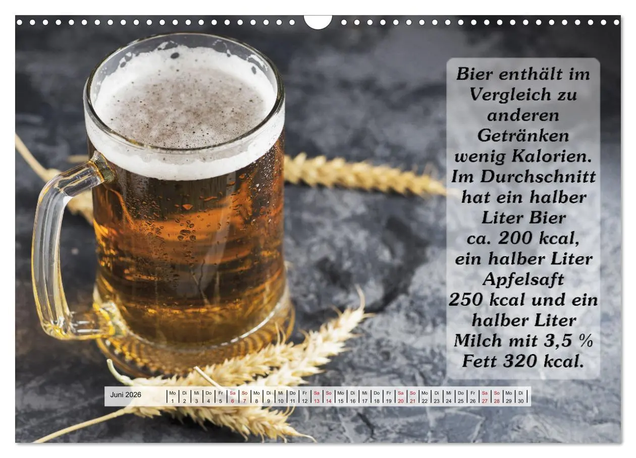 Bild: 9783457626306 | Wissenswertes über Bier (Wandkalender 2026 DIN A3 quer), CALVENDO...