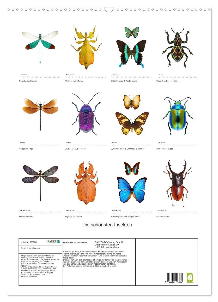 Bild: 9783516406306 | Die schönsten Insekten (Wandkalender 2026 DIN A2 hoch), CALVENDO...