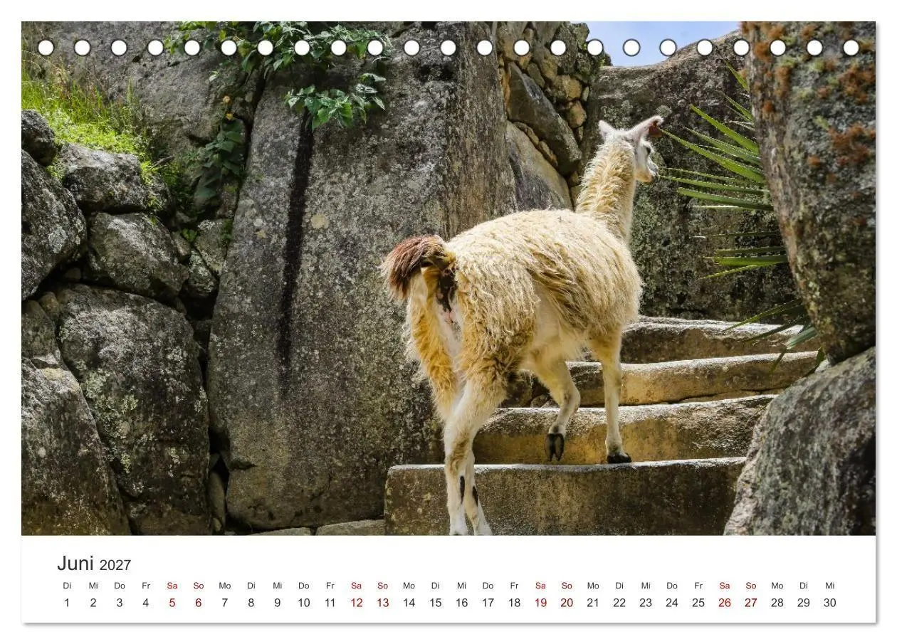 Bild: 9783516886306 | Macchu Picchu (Tischkalender 2027 DIN A5 quer), CALVENDO...