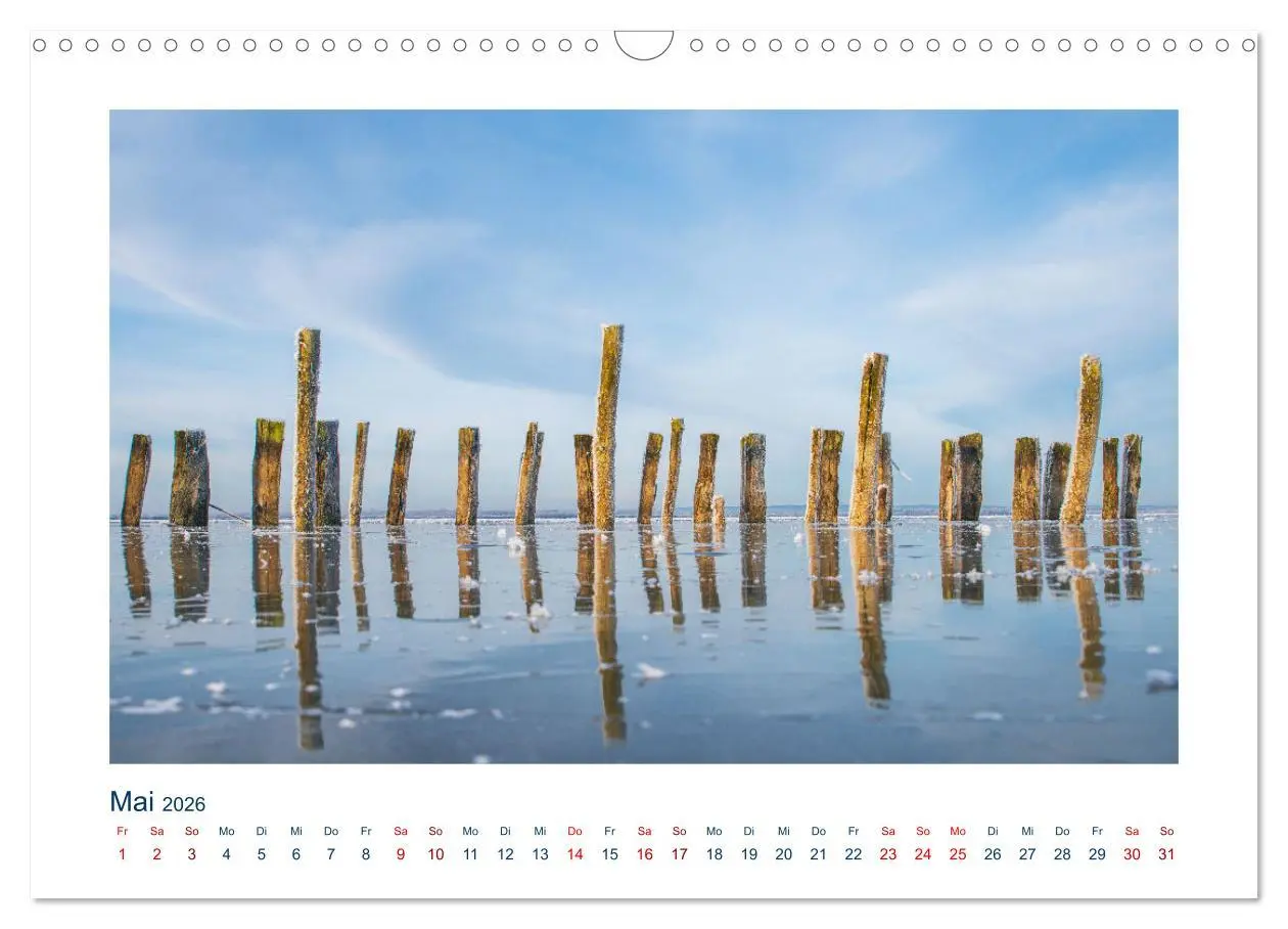 Bild: 9783457546406 | Perle Niedersachsen - Dümmer-See (Wandkalender 2026 DIN A3 quer),...