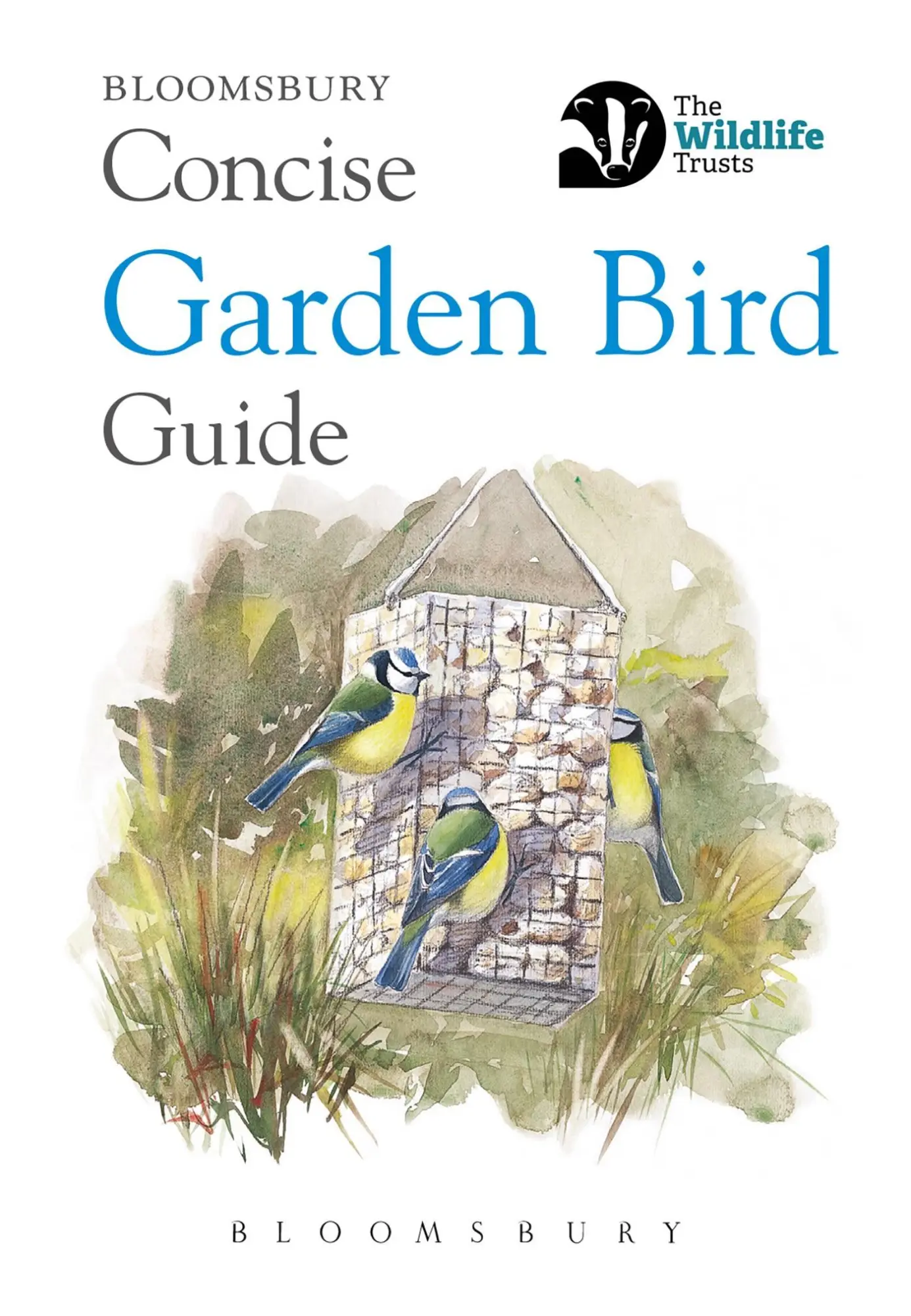 Cover: 9781472966506 | Concise Garden Bird Guide | Bloomsbury | Taschenbuch | Englisch | 2018