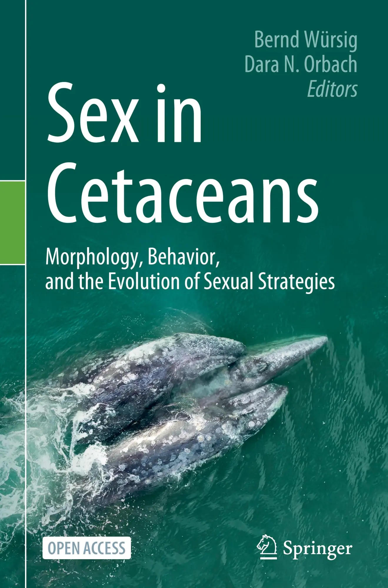 Cover: 9783031356506 | Sex in Cetaceans | Dara N. Orbach (u. a.) | Buch | ix | Englisch