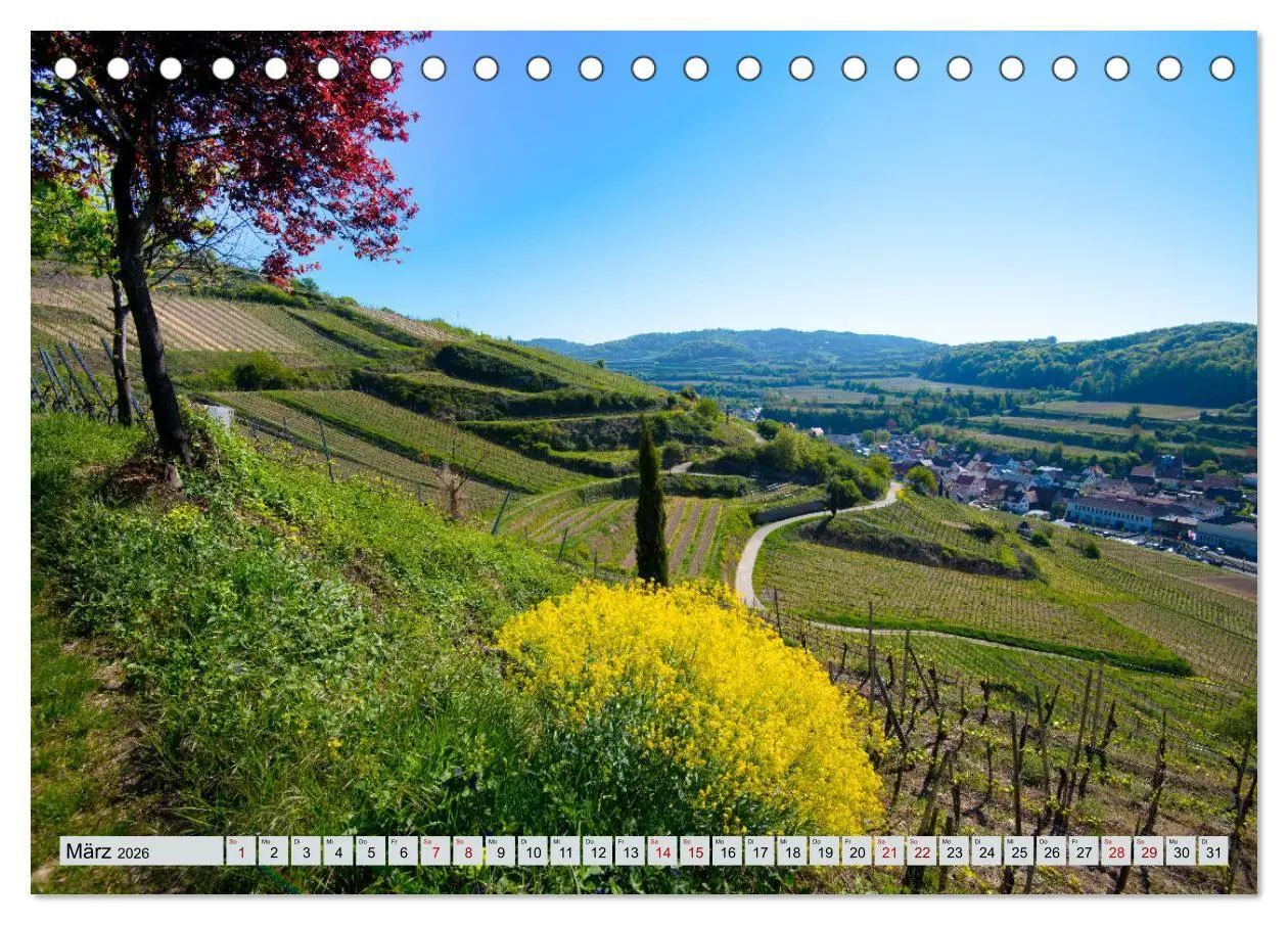 Bild: 9783457846506 | Weinregion Kaiserstuhl (Tischkalender 2026 DIN A5 quer), CALVENDO...