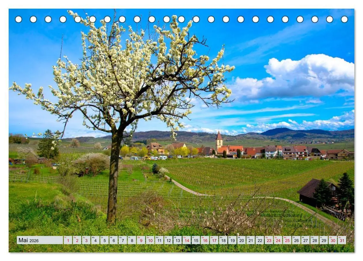 Bild: 9783457846506 | Weinregion Kaiserstuhl (Tischkalender 2026 DIN A5 quer), CALVENDO...
