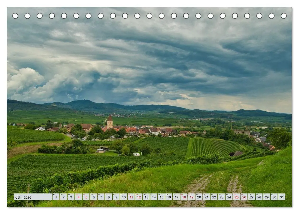 Bild: 9783457846506 | Weinregion Kaiserstuhl (Tischkalender 2026 DIN A5 quer), CALVENDO...