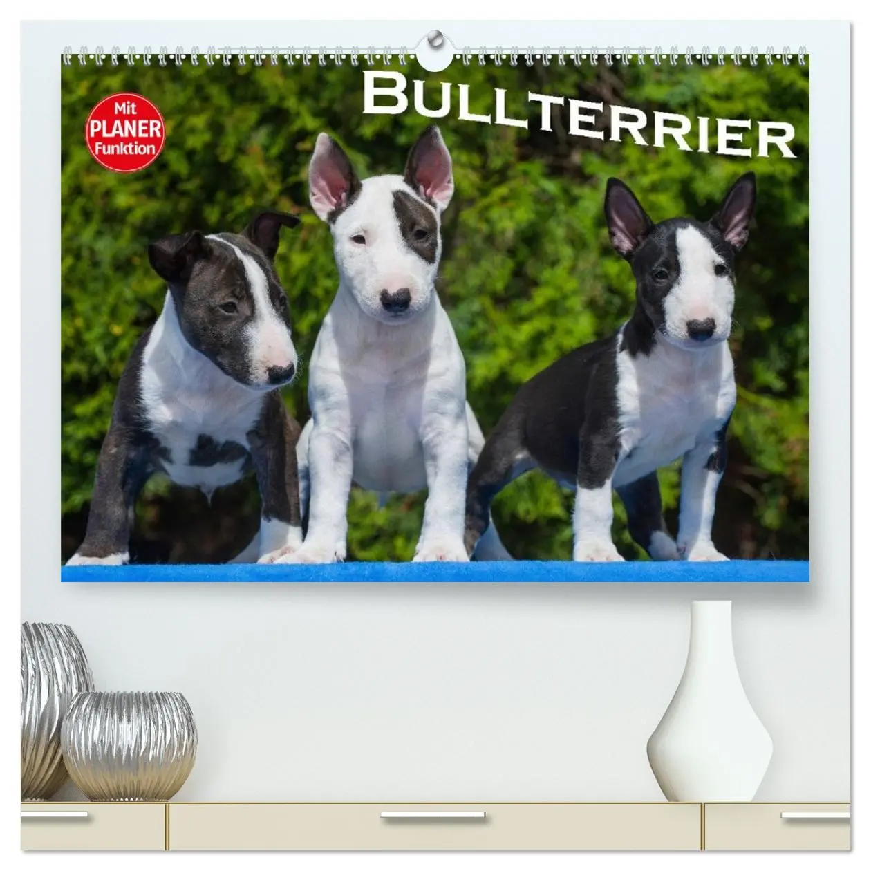 Cover: 9783516006506 | Bullterrier (hochwertiger Premium Wandkalender 2026 DIN A2 quer),...