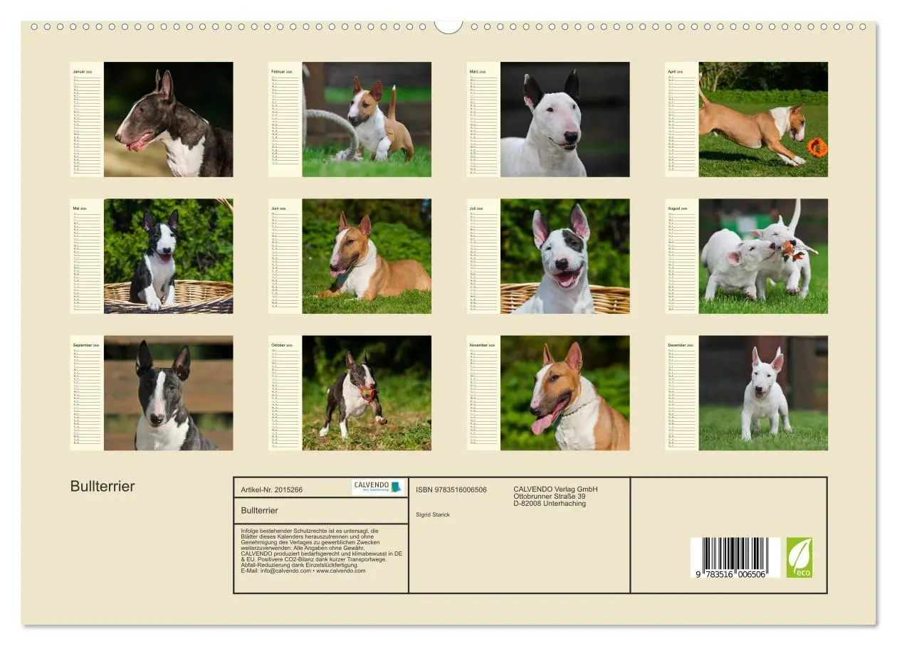 Bild: 9783516006506 | Bullterrier (hochwertiger Premium Wandkalender 2026 DIN A2 quer),...