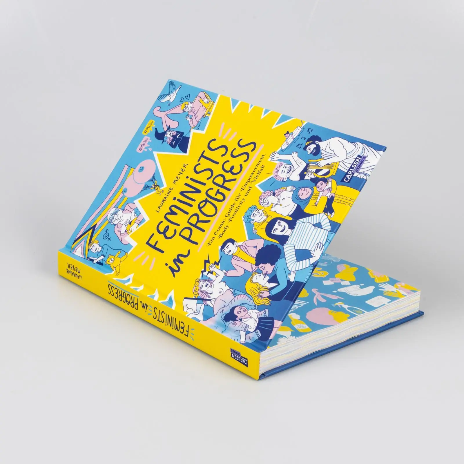 Bild: 9783551726506 | Feminists in Progress | Lauraine Meyer | Buch | 248 S. | Deutsch