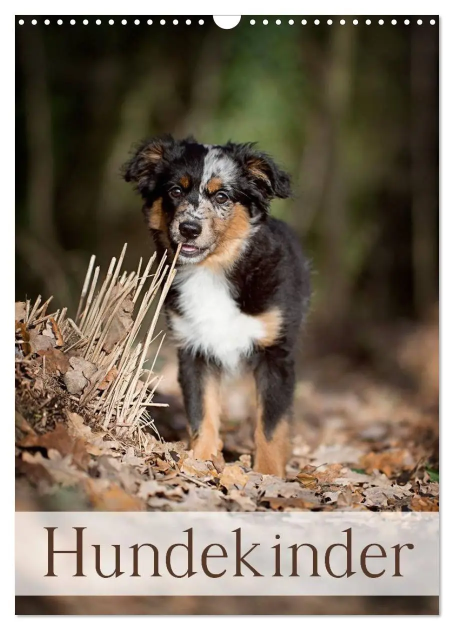 Cover: 9783594156506 | Hundekinder (Wandkalender 2027 DIN A3 hoch), CALVENDO Monatskalender