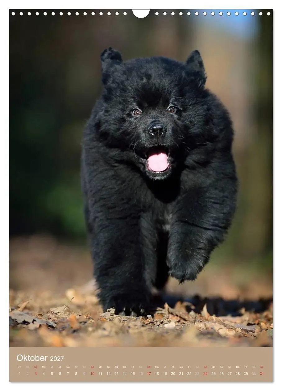 Bild: 9783594156506 | Hundekinder (Wandkalender 2027 DIN A3 hoch), CALVENDO Monatskalender