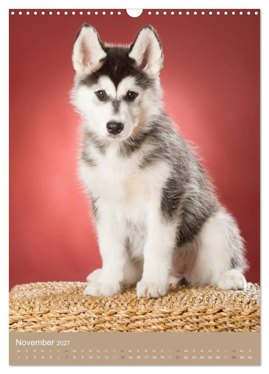 Bild: 9783594156506 | Hundekinder (Wandkalender 2027 DIN A3 hoch), CALVENDO Monatskalender