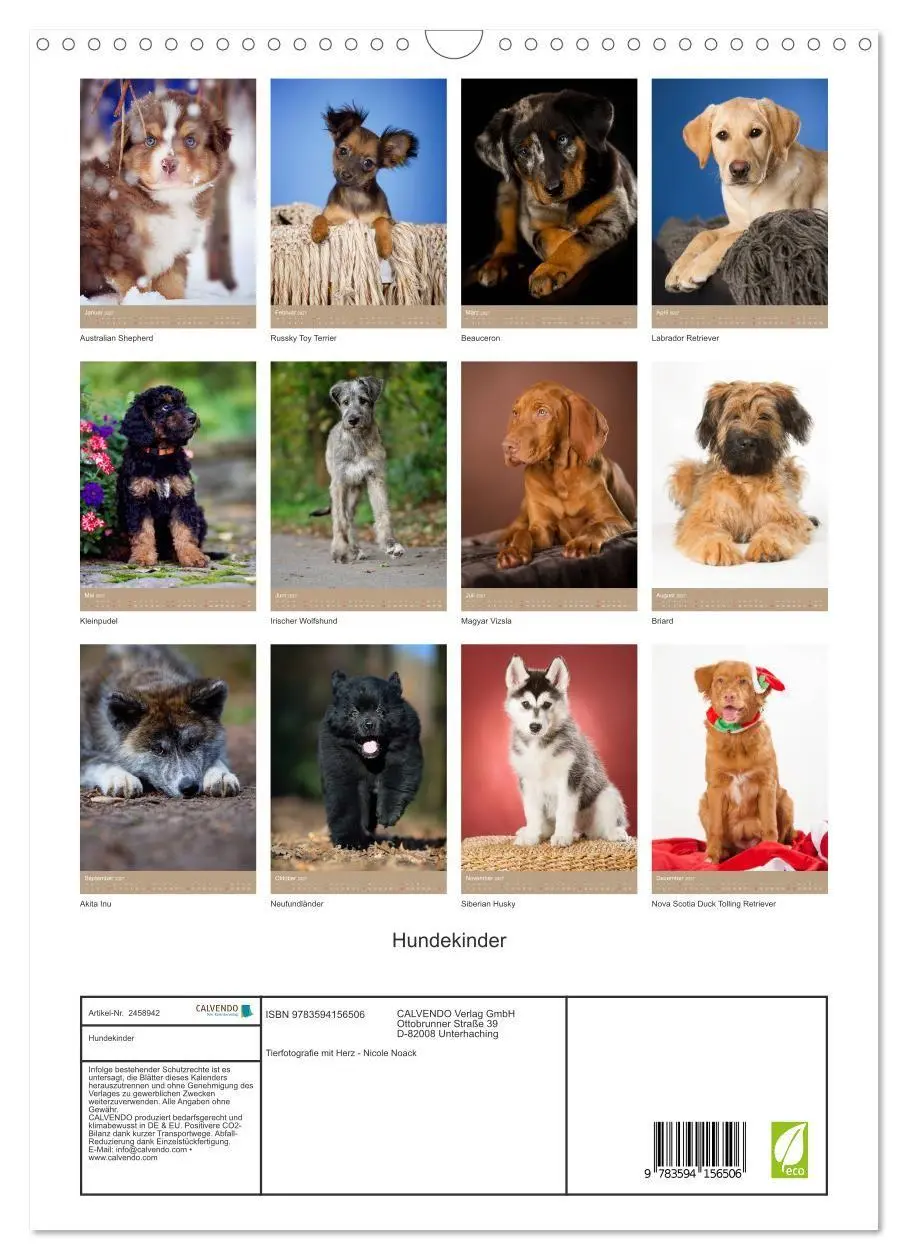 Bild: 9783594156506 | Hundekinder (Wandkalender 2027 DIN A3 hoch), CALVENDO Monatskalender