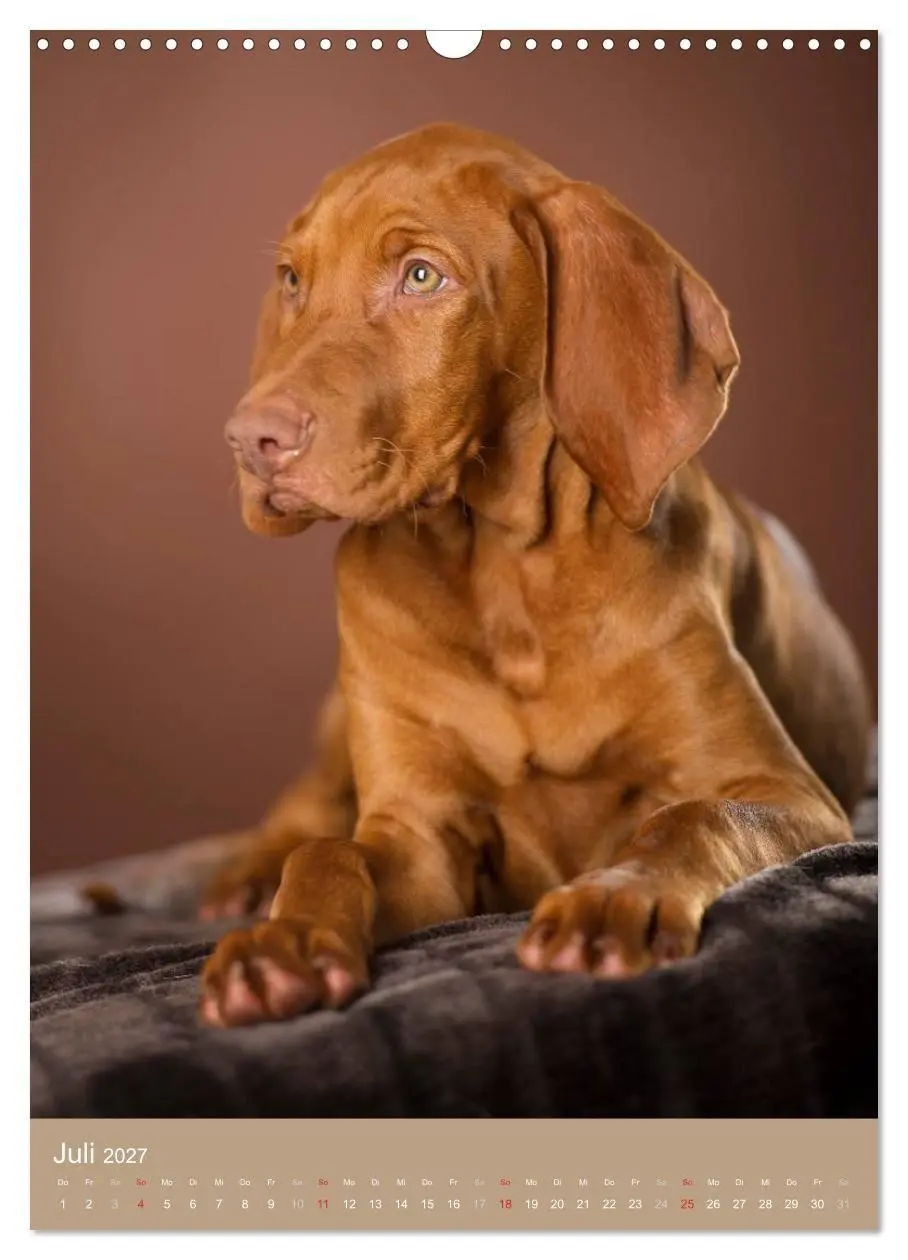 Bild: 9783594156506 | Hundekinder (Wandkalender 2027 DIN A3 hoch), CALVENDO Monatskalender