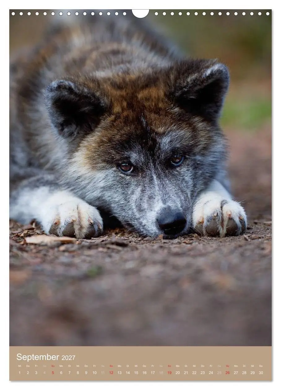 Bild: 9783594156506 | Hundekinder (Wandkalender 2027 DIN A3 hoch), CALVENDO Monatskalender