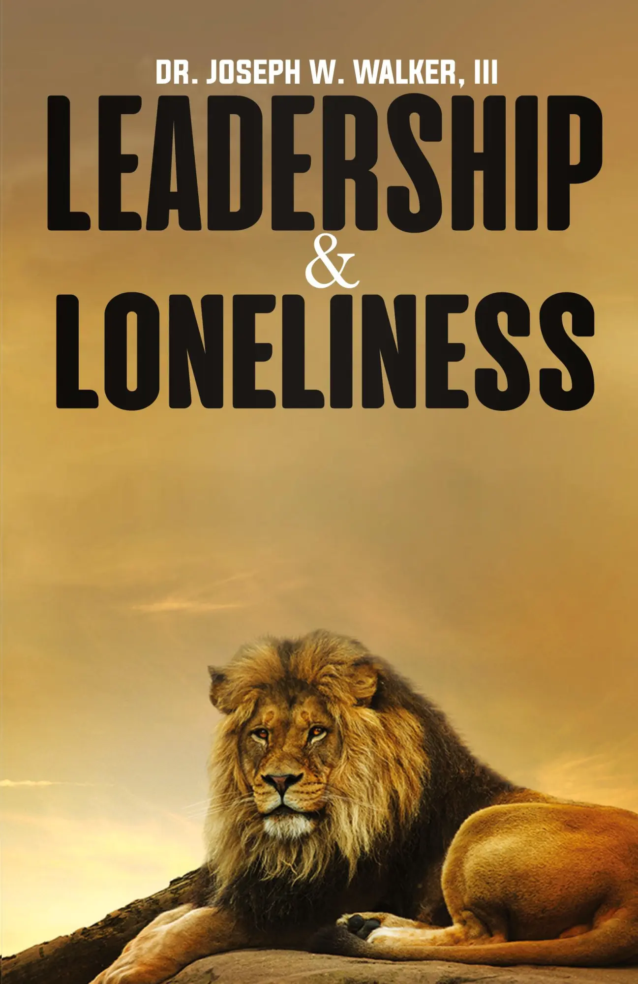Cover: 9780998776606 | Leadership and Loneliness | Joseph W Walker | Taschenbuch | Englisch