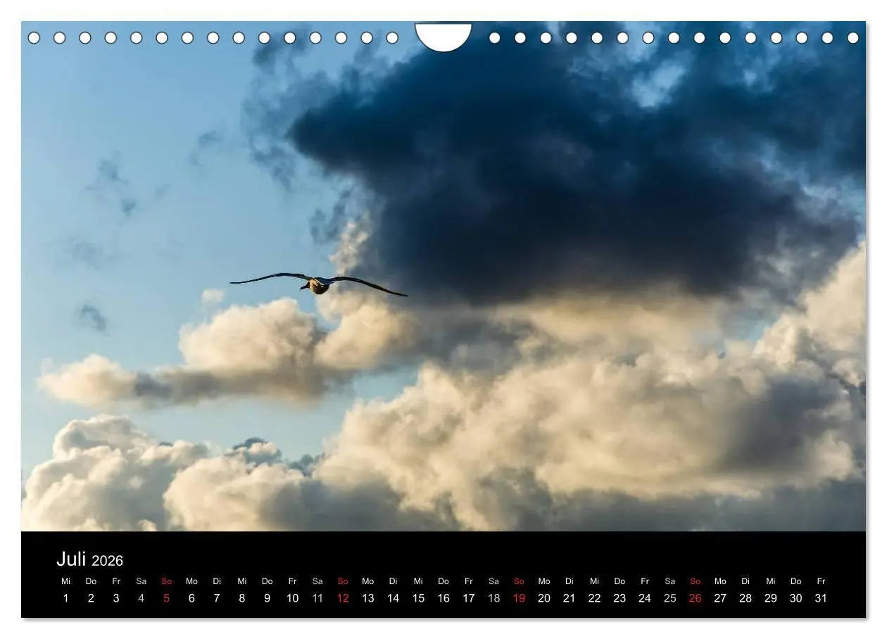 Bild: 9783516096606 | Wolkenmalerei (Wandkalender 2026 DIN A4 quer), CALVENDO Monatskalender