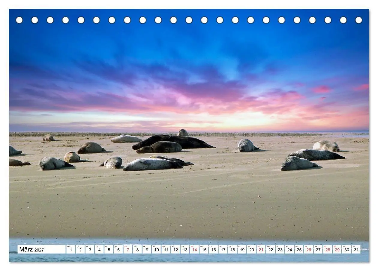 Bild: 9783516786606 | Verliebt in Borkum (Tischkalender 2027 DIN A5 quer), CALVENDO...