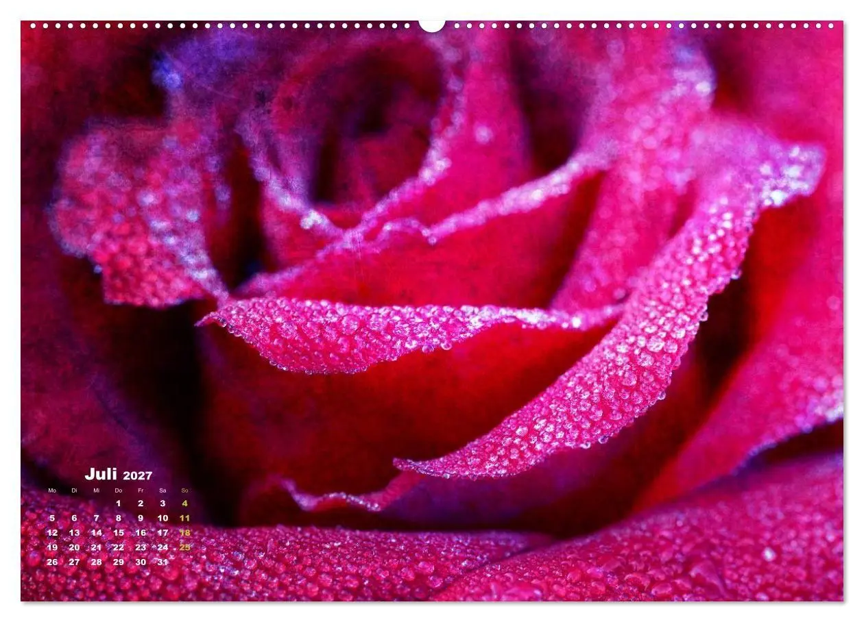 Bild: 9783594076606 | Rosen Romantik (hochwertiger Premium Wandkalender 2027 DIN A2...