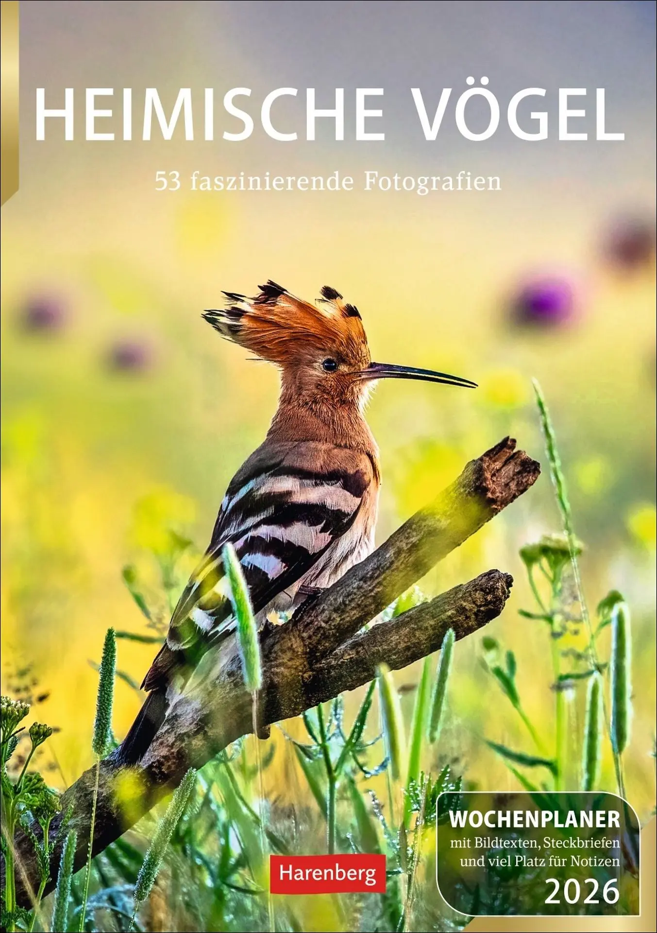 Cover: 9783840036606 | Heimische Vögel Wochenplaner 2026 - 53 faszinierende Fotografien