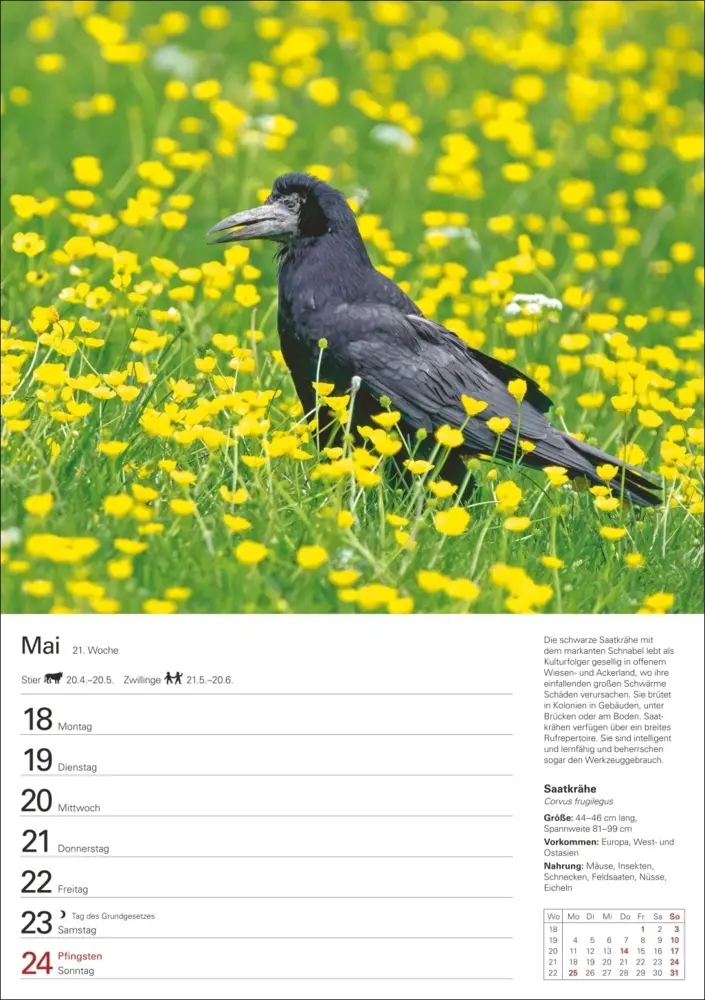 Bild: 9783840036606 | Heimische Vögel Wochenplaner 2026 - 53 faszinierende Fotografien