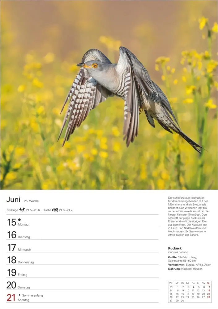 Bild: 9783840036606 | Heimische Vögel Wochenplaner 2026 - 53 faszinierende Fotografien