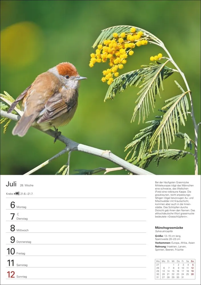 Bild: 9783840036606 | Heimische Vögel Wochenplaner 2026 - 53 faszinierende Fotografien