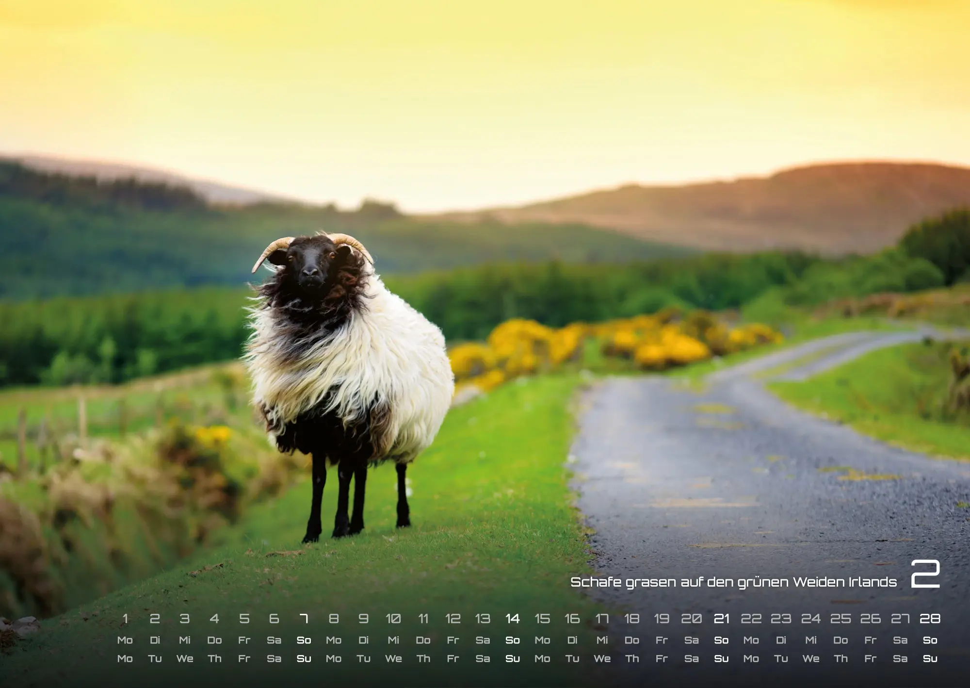 Bild: 9783986736606 | Irland - Die grüne Insel - 2027 - Kalender DIN A2 | GP-Fever. de