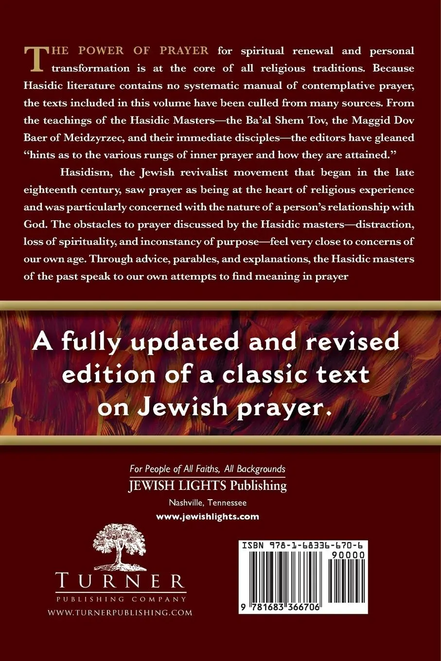 Rückseite: 9781683366706 | Your Word is Fire | The Hasidic Masters on Contemplative Prayer | Buch