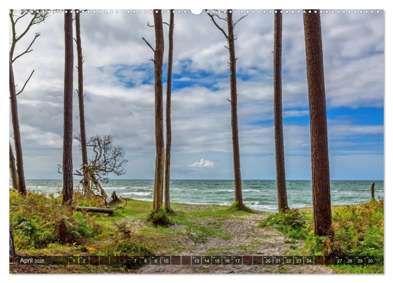 Bild: 9783457756706 | Impressionen von der Ostsee Fischland-Darß-Zingst (Wandkalender...