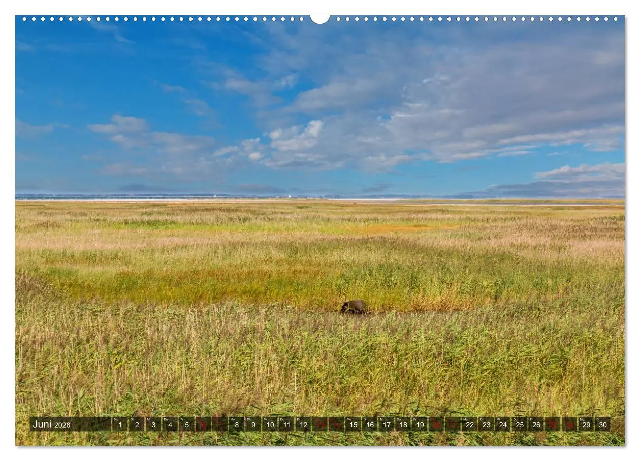 Bild: 9783457756706 | Impressionen von der Ostsee Fischland-Darß-Zingst (Wandkalender...