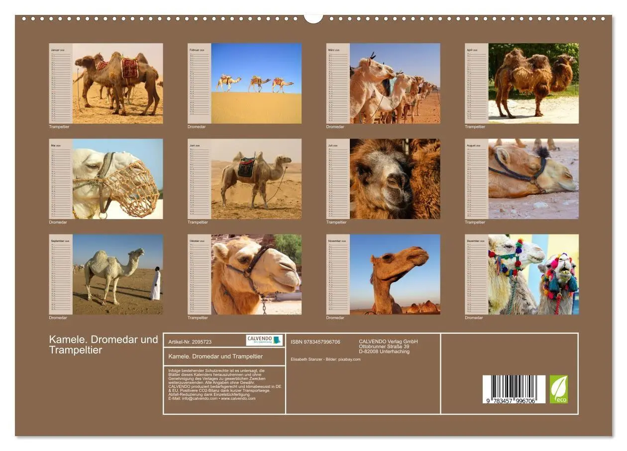 Bild: 9783457996706 | Kamele. Dromedar und Trampeltier (hochwertiger Premium Wandkalender...