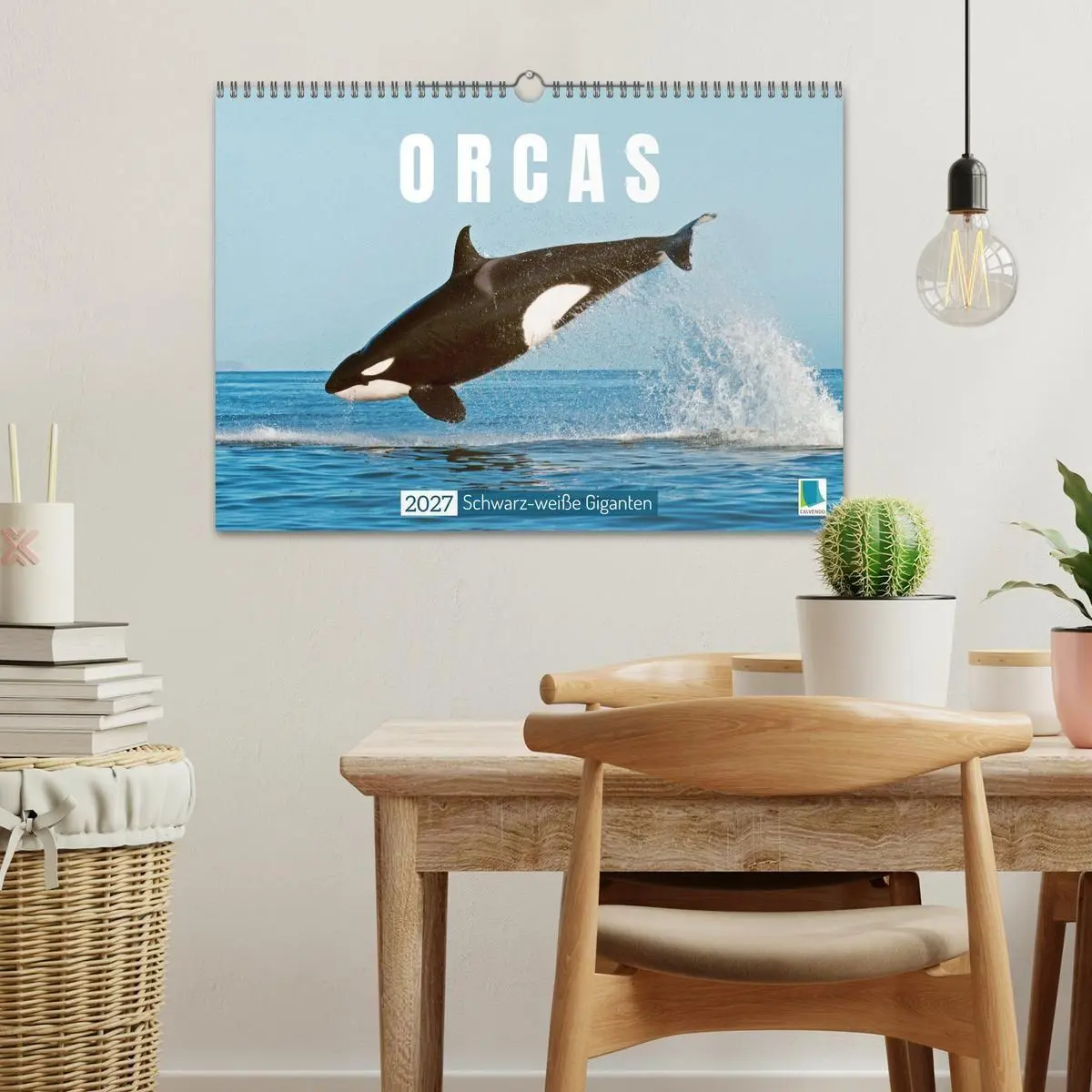 Bild: 9783569246706 | Orcas: Schwarz-weiße Giganten (Wandkalender 2027 DIN A3 quer),...