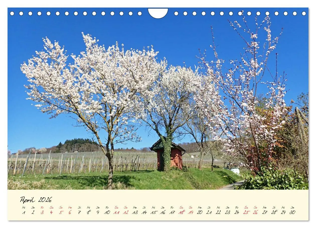 Bild: 9783457736906 | Malerisches Heppenheim an der Bergstraße (Wandkalender 2026 DIN A4...