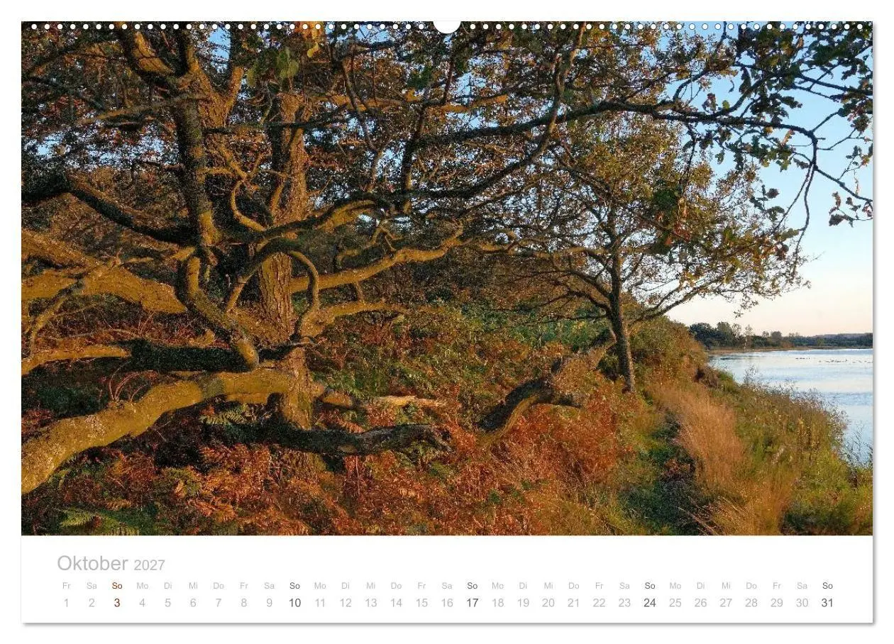 Bild: 9783594046906 | Zauberhafte Schlei (Wandkalender 2027 DIN A2 quer), CALVENDO...