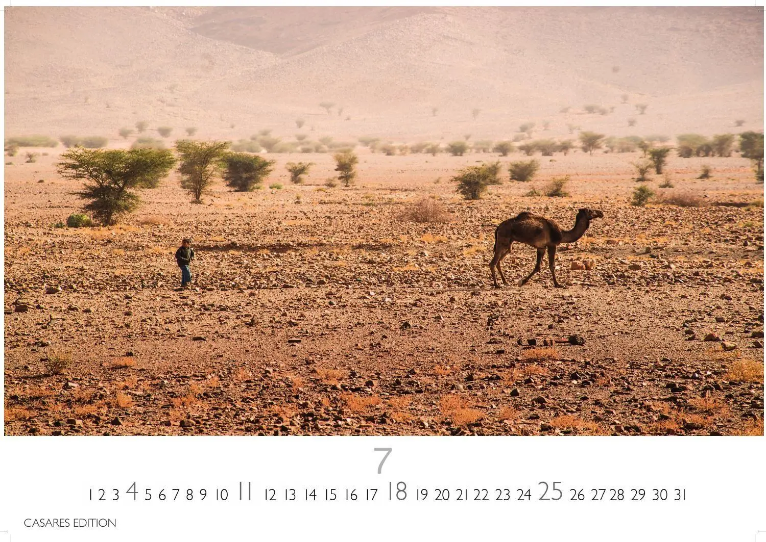 Bild: 9781835247006 | Sahara Kalender 2027 - Wandkalender Fotokalender Afrika 24x35 cm -...